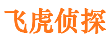 东兴区外遇调查取证